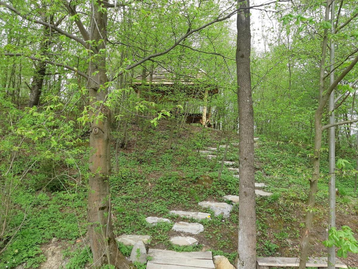 Domek Na Wzgorzu "Wilk" Swiatkowa Mala Esterno foto