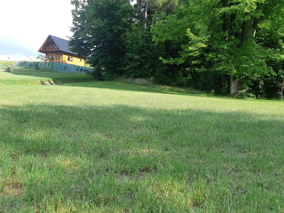 Domek Na Wzgorzu "Wilk" Swiatkowa Mala Esterno foto