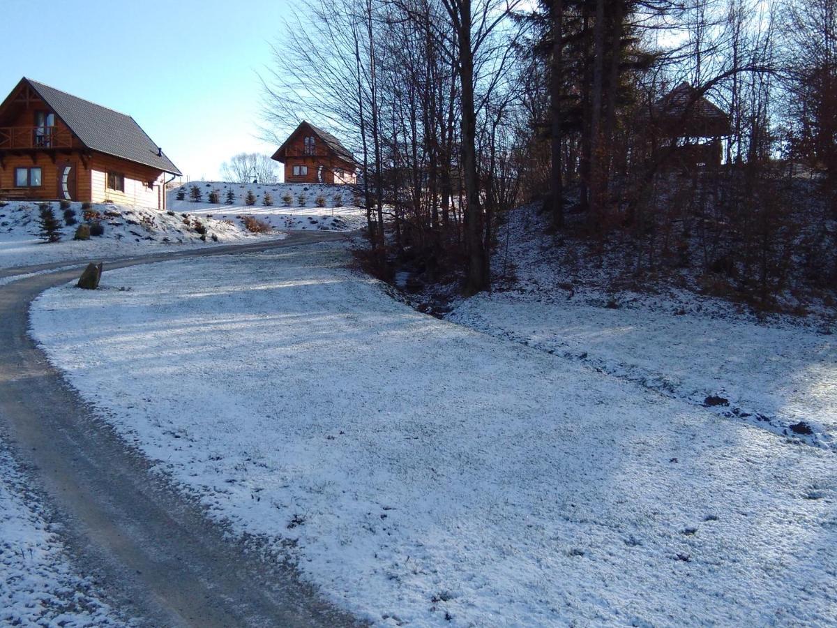 Domek Na Wzgorzu "Wilk" Swiatkowa Mala Esterno foto